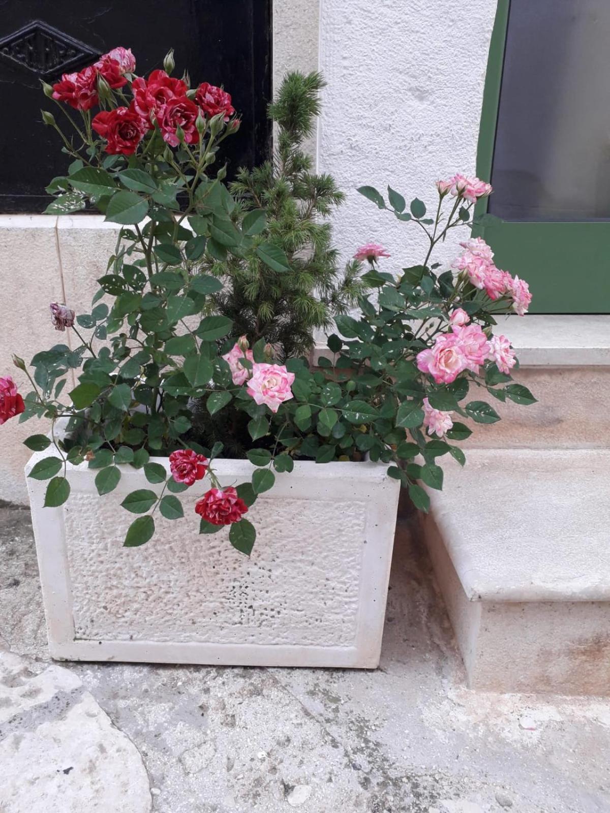 הוילה צ'לייה מספיקה Le Chianche מראה חיצוני תמונה